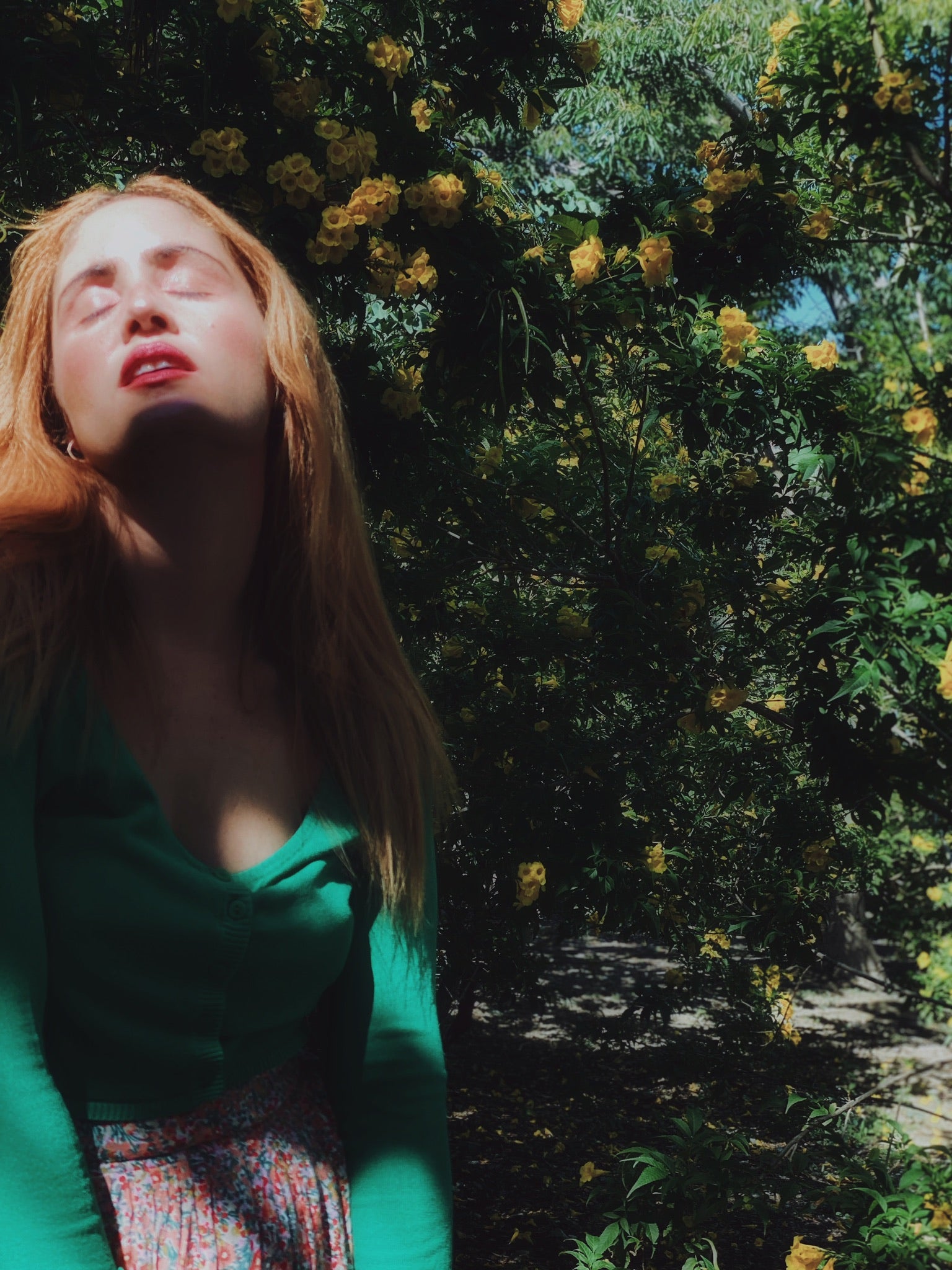 Cardigan verde Sfera