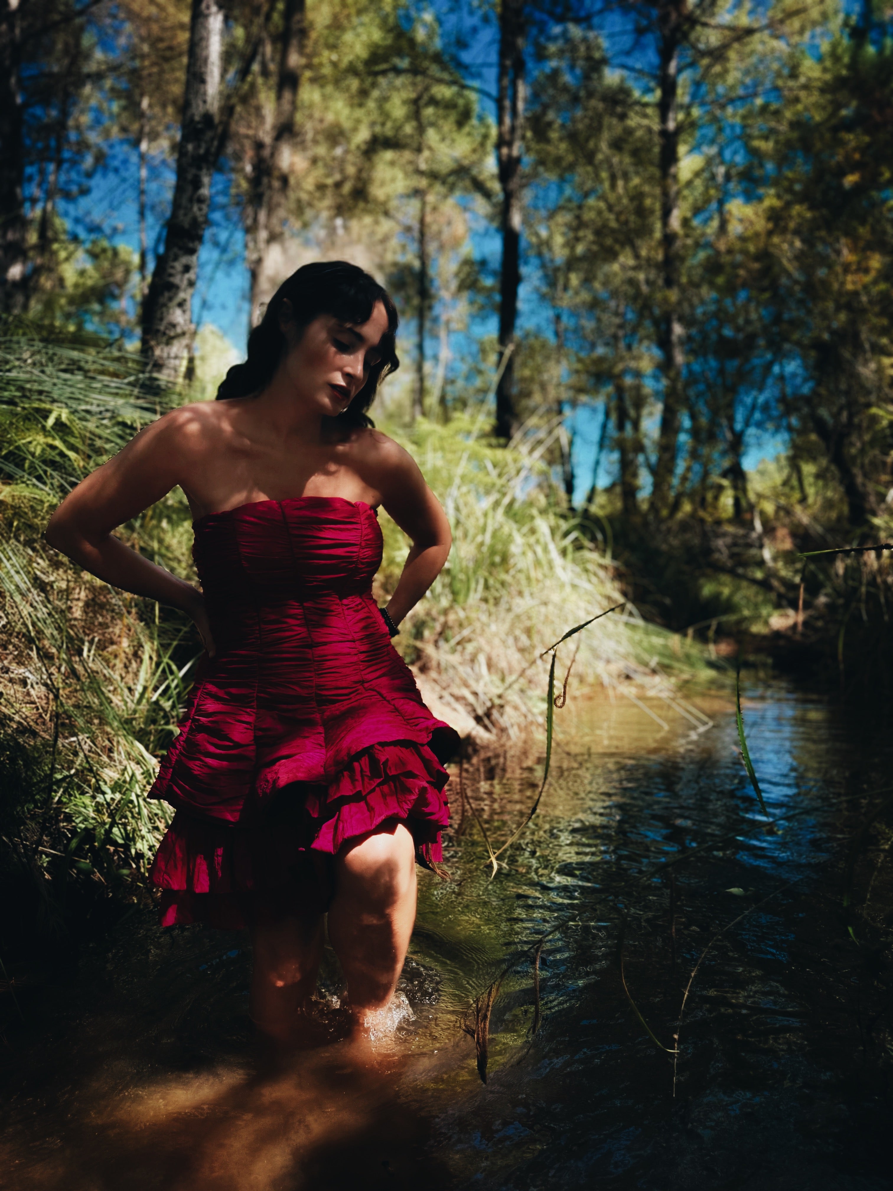 Vestido organza vintage