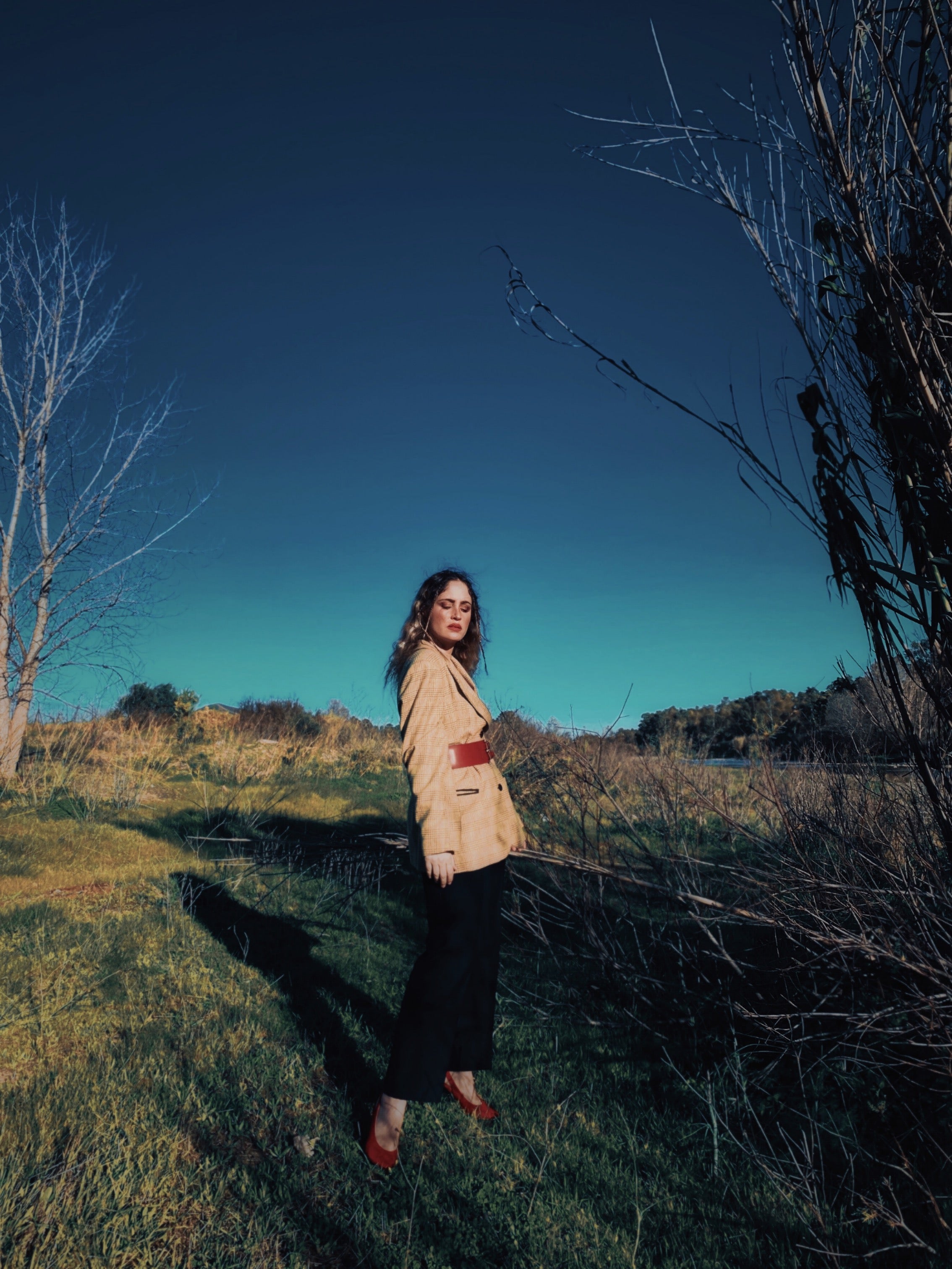 Blazer de cuadros vintage