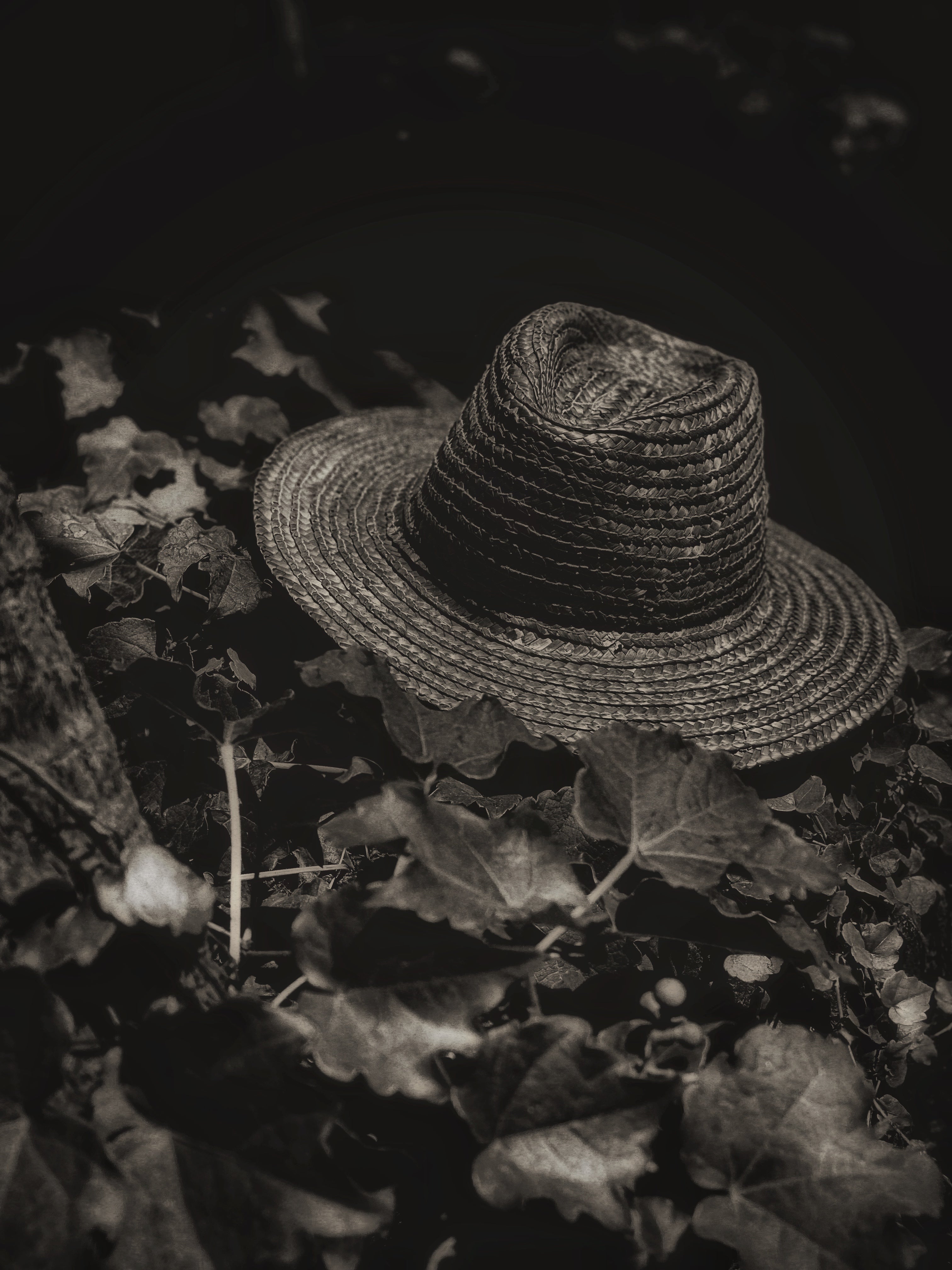 SOMBREROS