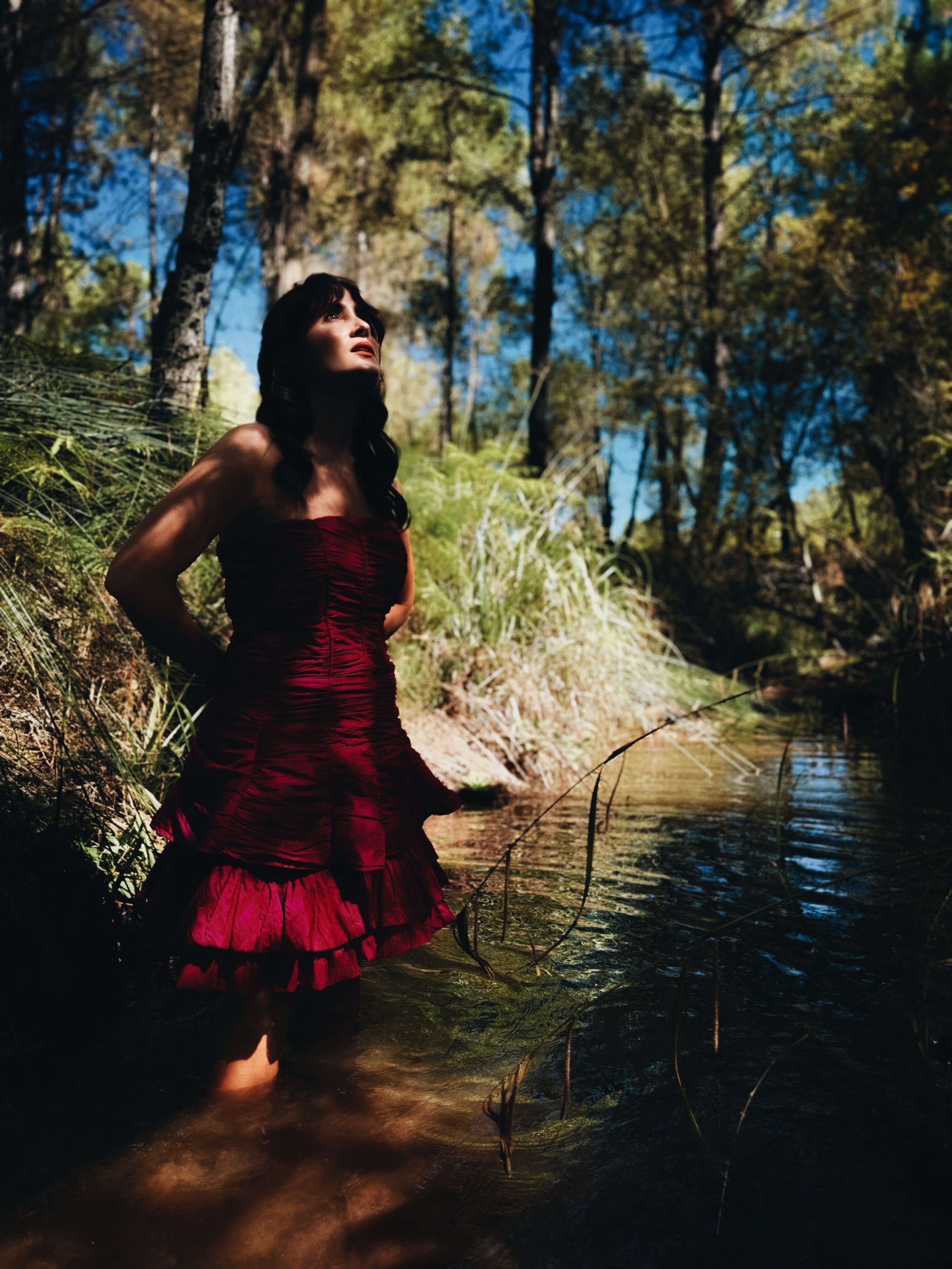 Vestido organza vintage